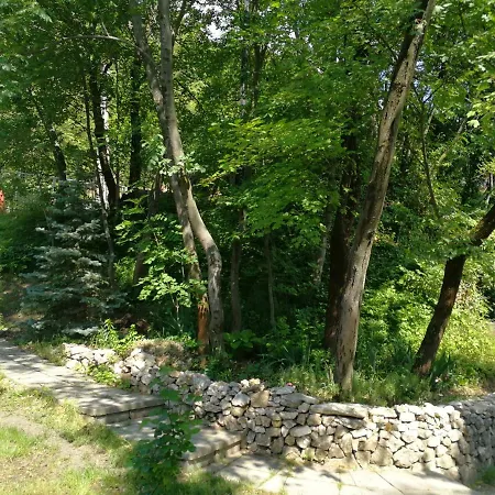 Cabin In The Woods * Budapest
