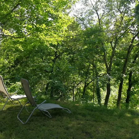 Cabin In The Woods Budapest